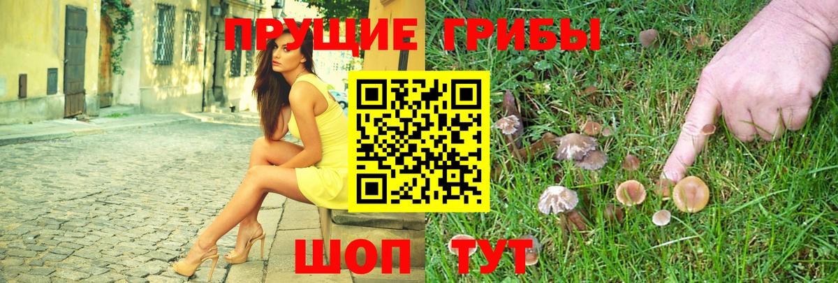 Галлюциногенные грибы GOLDEN TEACHER  Вход с VPN  Томск  Галлюциногенные грибы мухоморы 